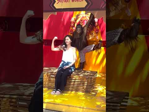 Naughty monkey 🐒  #viralvideo #trending #animals #monkey #india