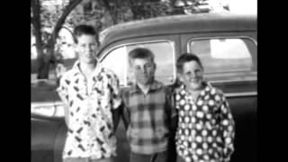 Wouldn't It Be Nice To Live Again  ~  Dennis Wilson ~