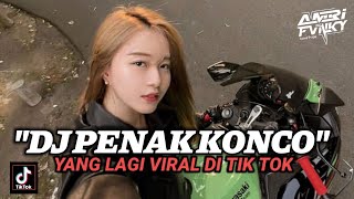 Download lagu DJ PENAK KONCO THAILAND STYLE TERBARU 2023 mp3