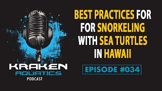 Kraken Aquatics Podcast #034 - Best Practices for Snorkeling with Sea Turtles in Hawaii