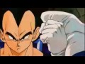 Vegeta Vs Pui Pui