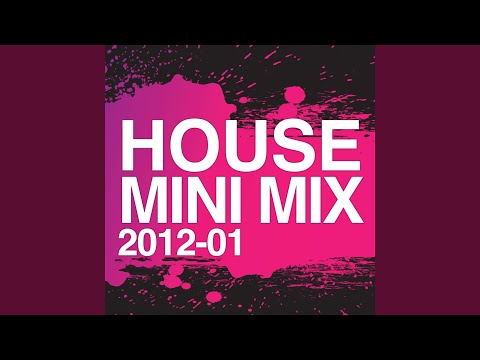 House Mini Mix 2012 - 01 (Full Continuous Mix)