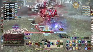 ファイナルファンタジーXIV 白虎征魂戦 真リヴァイアサン討滅戦 ニーズヘッグ征竜戦
