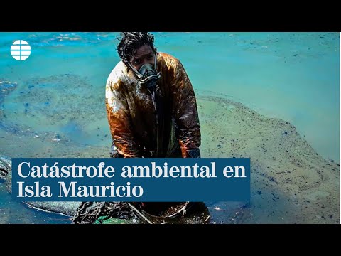 Crisis ambiental por un vertido descontrolad de combustible en Isla Mauricio