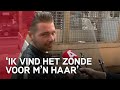 Hoe bevalt de snorscooter op de rijbaan?