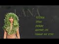 SZA LANA PLAYLIST 1 FULL LYRICS