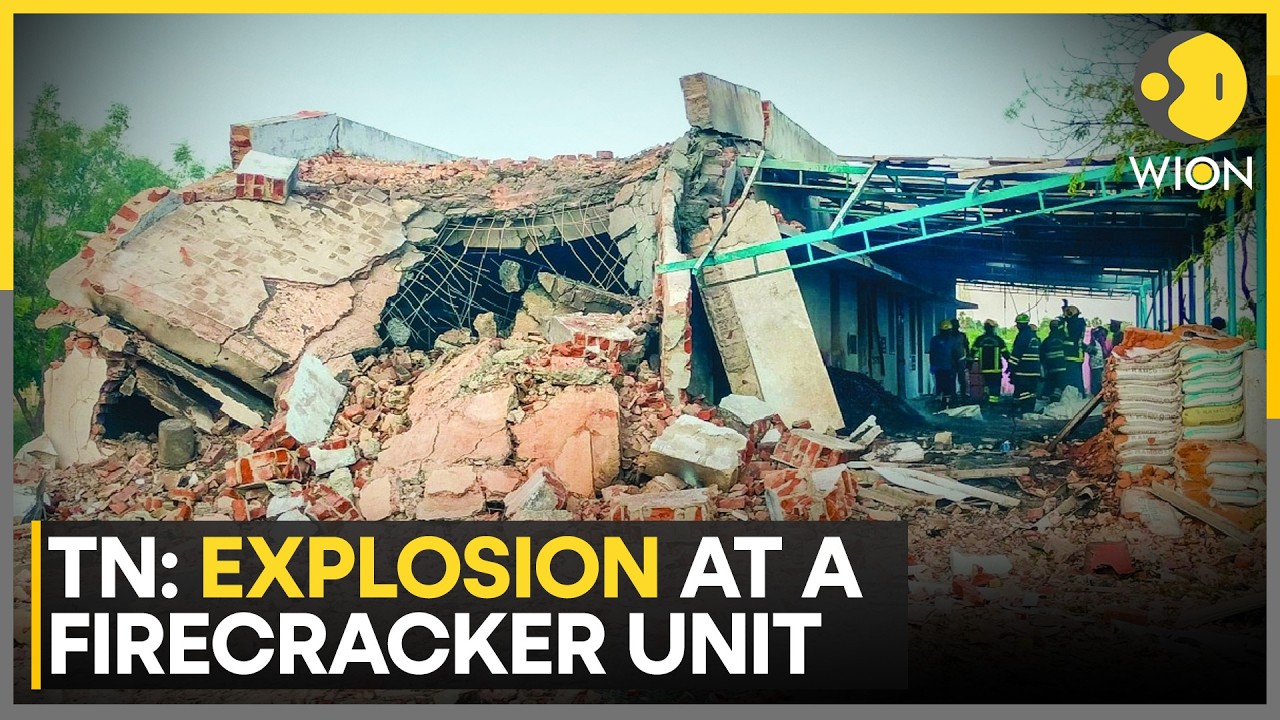 Rescue Teams Race To Save Humpback Whale in Germany | WION News