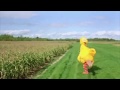 Big Bird Screams 1933 Colorised