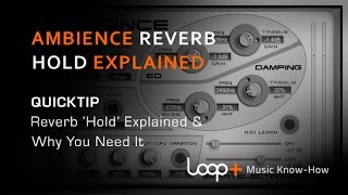 Video thumbnail for Ambience Free Reverb ‘Hold’ Function Explained - Loop+ Quick Tip by Plugin Boutique