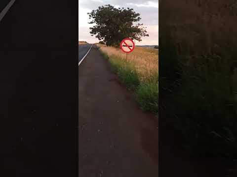 Seca são João.jataizinho #londrinaeregiao #paraná