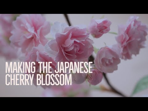 Making the Japanese Cherry Blossom flower