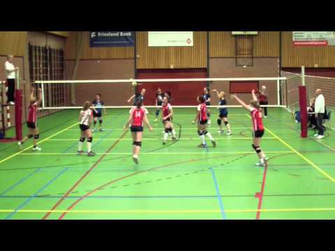 Steggerda D1 - Reflex D2