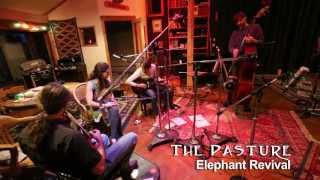Elephant Revival - The Pasture