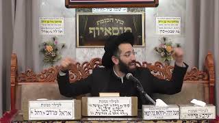 הרב נהוראי הלוי | אמונה ומוסר פרשת בשלח | מוסאיוף (בית הכנסת מוסאיוף) - התמונה מוצגת ישירות מתוך אתר האינטרנט יוטיוב. זכויות היוצרים בתמונה שייכות ליוצרה. קישור קרדיט למקור התוכן נמצא בתוך דף הסרטון