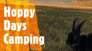 Camping at Bandits Roost Campground with Bunny on Jurgen's Journeys? #havebunwilltravel