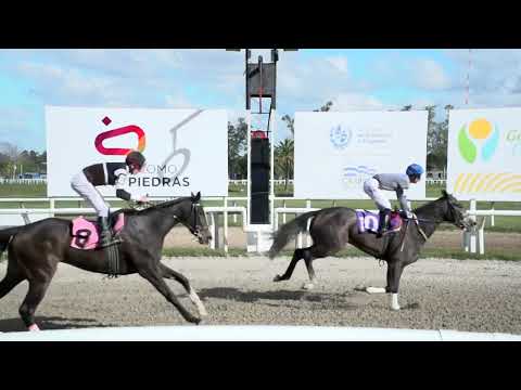 230527 c06 - NICE INVASIVA - HIPODROMO LAS PIEDRAS