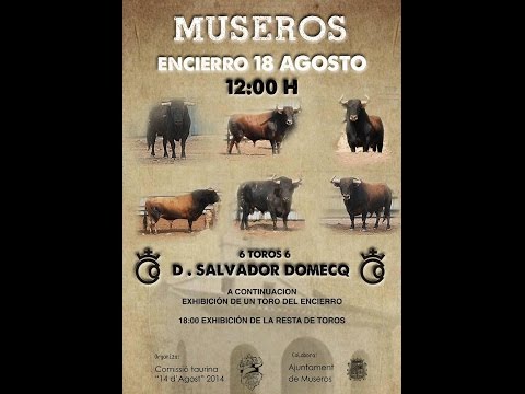 Encierro de Toros de salvador Domecq en Museros