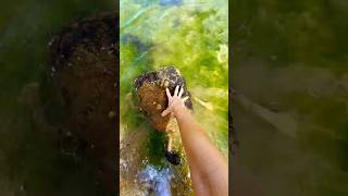 Download lagu What is that?? mp3