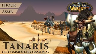 WoW Classic Tanaris - Gameplay No Commentary ASMR 
