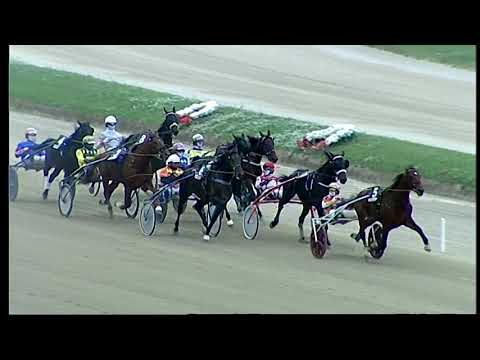 Napoli Trotto 24/10/2021 - 6ª corsa