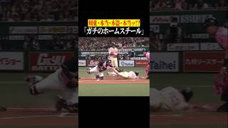 【激レア】本当に本当の本盗、ホームスチール #shorts