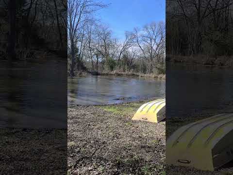 Some pond fun with the Automator's dogs (Luna and Zeus)