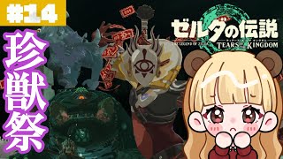 地底に謎の神殿があると聞きつけて…驚くべきものに出会いました#14【ゼルダの伝説 ティアーズ オブ ザ キングダム】