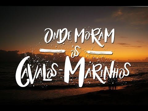 Onde Moram os Cavalos Marinhos