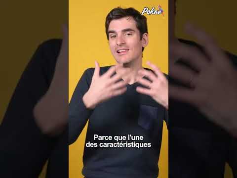 La crypto, qu’est-ce que c’est finalement ?