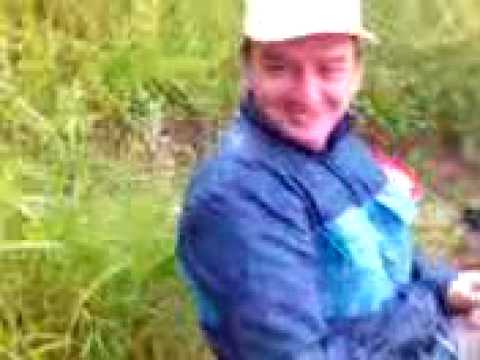 O ZI FARA PESTE LA BIBIRESTI