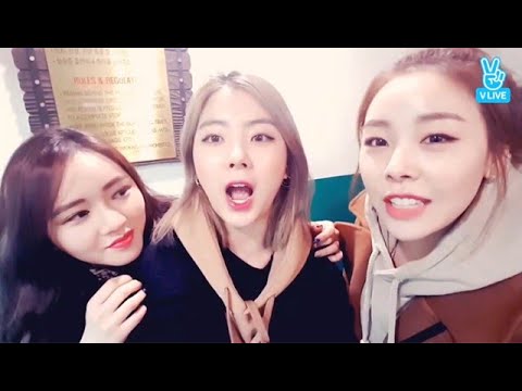VPICK!: LADIES' CODE’s 4th anniversary [CC for ENG SUB]