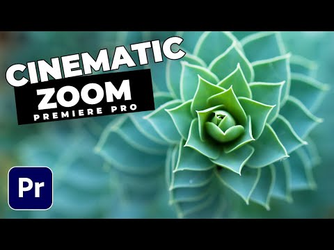 DOLLY ZOOM Vertigo Effect Tutorial In Premiere Pro