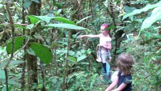 preview picture of video 'Villa Hada Costa Rica Jungle Nature Trail on Our Property'