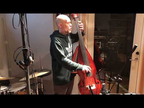 Roberto Franceschini Instruments Compact Body Upright Bass image 13