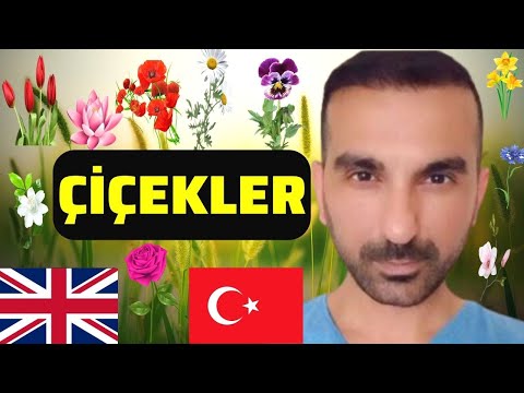 İngilizce Çiçekler = Flowers in Turkish