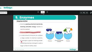 Enzymes.