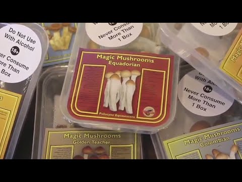 Efforts to legalize psychedelic drug therapy in Missouri