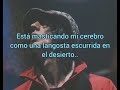 Richard Ashcroft - Crazy world (traducida al español.)