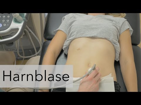 Abdomensonografie - Harnblase