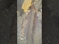 channel