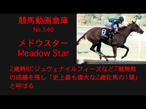 【競馬】メドウスター　Meadow Star【No 540】