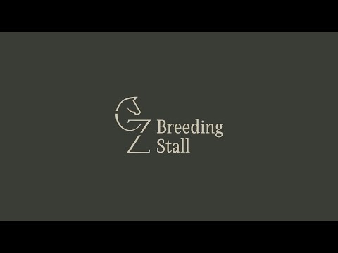 youtube preview
