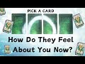 PICK A CARD How Do They Feel About Me Now