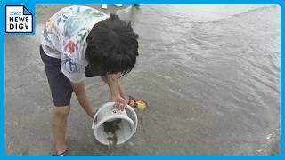 小学生がヒラメの稚魚約400匹を放流 ｢大きくなって戻ってきて｣ 水産資源の大切さ学ぶ体験学習会 三重･尾鷲市