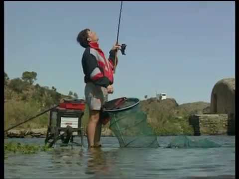 Algarve Angling Experience on Running Water
