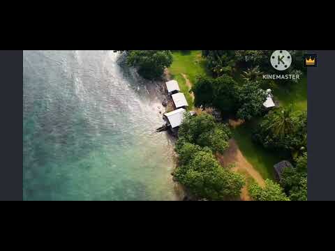 attract girls And increasing androstenol Pheromone°|°~sublimimal