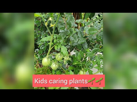 Jaideep-Taking care of plants||samanvi (playing)
