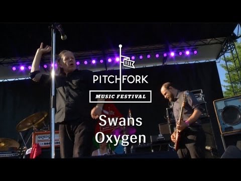 Swans - 