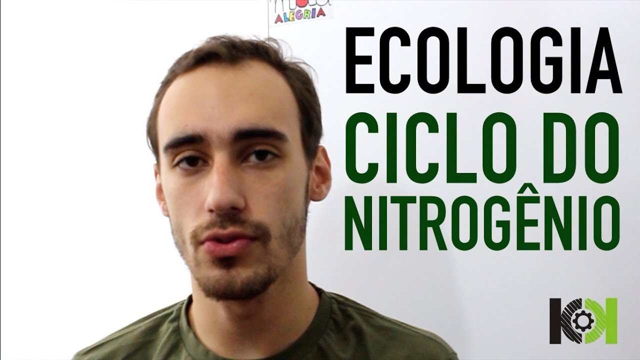 Ecologia - Ciclo do Nitrogênio
