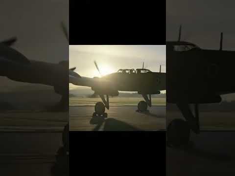 When the Firefly Hunted the Tiger 🐅🔥